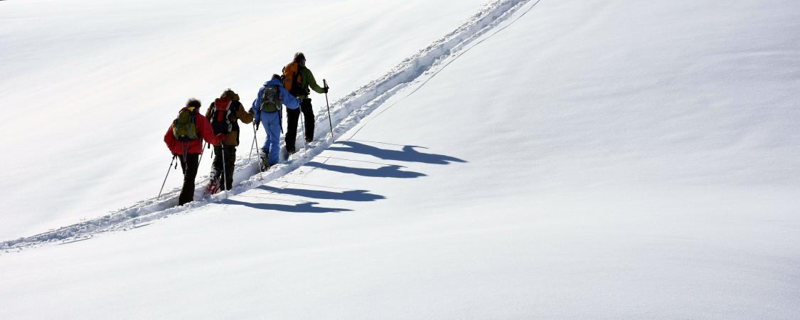 Des ombres fidèles se détachant sur une neige immaculée au col des Aravis (photo : D.Delvaux)